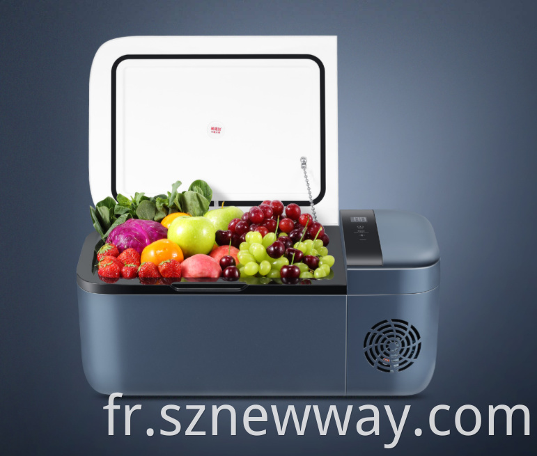 Indelb T12 Electric Refrigerator